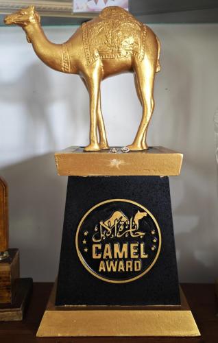 Artist Devassia Devagiri Awards