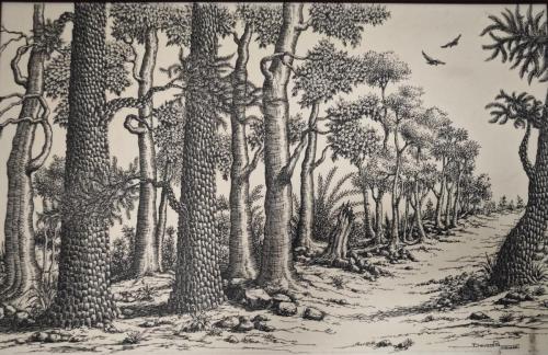 Pen and pencil works of Artist Devassia Devagiri