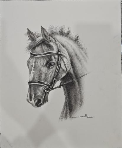 Pen and pencil works of Artist Devassia Devagiri