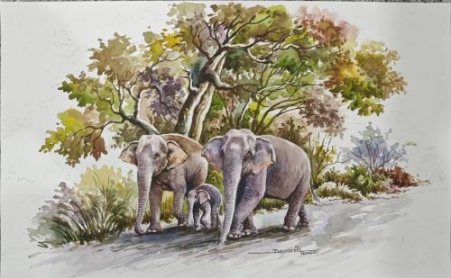 Water colour works of Artist Devassia Devagiri