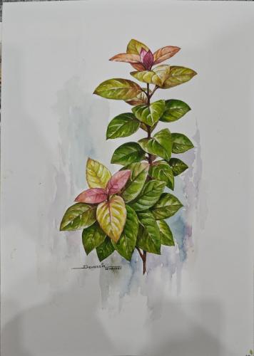 Water colour works of Artist Devassia Devagiri